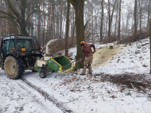 foto prací v lesoparku